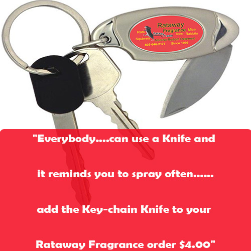 Keychain that is branded with Rataway